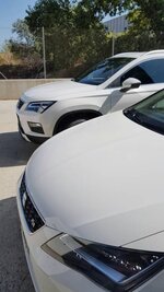 20160827_110222.jpeg