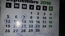 20160923_124637.jpg