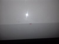 20170409_233601.jpg