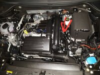 20170420_101915.jpg