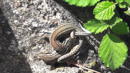 20170416_122935.jpg