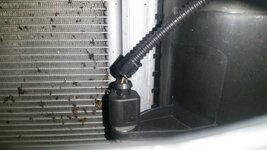 20170425_131510.jpg