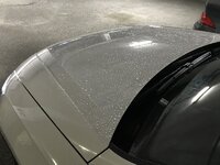 LavaditoConLluvia.jpg