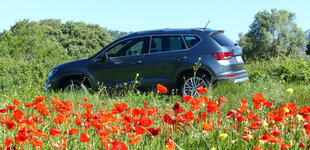 Ateca_amapolas.jpg