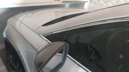 IMG_20170524_200522.jpg