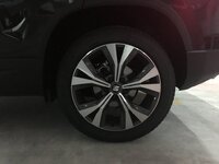 IMG_0977.JPG IMG_0977.JPG