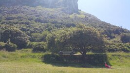 20170524_142331.jpg