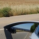 IMG_0762.JPG