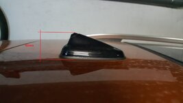 20170605_165856.jpg