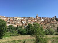 IMG_1401.JPG