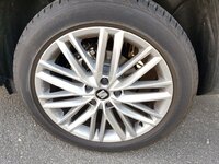 20170620_092013.jpg