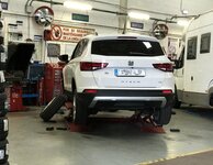 zAteca_alloy_03.jpg