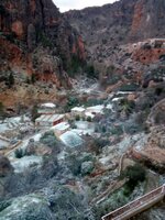 IMG_20170119_084310.jpg