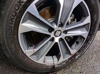 IMG_20170226_112646.jpg