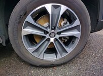 IMG_20170226_120812 (1).jpg