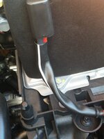 20170702_093256.jpg