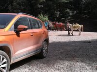 IMG_20170707_165231.jpg