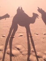 IMG_20170706_074123.jpg