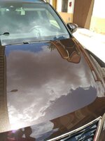 IMG_20170708_143724.jpg