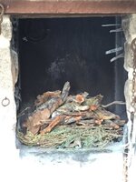 IMG_5643.JPG