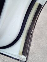 IMG_20170728_110628.jpg