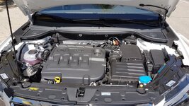 20170731_115039.jpg
