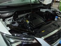 IMG_20161221_165547.jpg