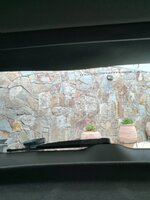 IMG_20170723_182259.jpg