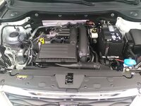 IMG_20170807_154450.jpg