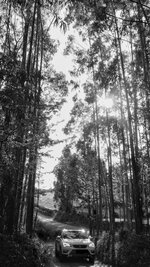 IMG_20170813_193408-01.jpeg