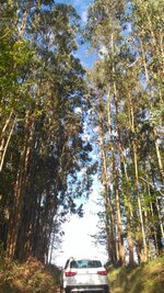 IMG_20170812_191135.jpg