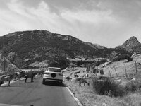 IMG_20170819_230621.jpg