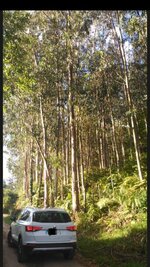 IMG_20170824_000017.jpg