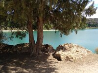IMG_20170906_130907_334.jpg