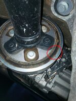 IMG_20170907_081431_754.jpg