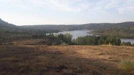 IMG_9230.JPG