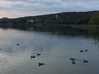 IMG_9343.JPG