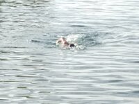 IMG_9426.JPG