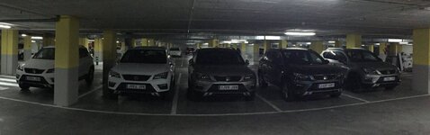 Atecas mallorquines.jpg