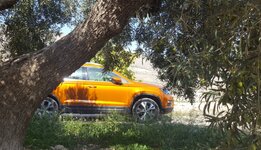 20171017_084650.jpg