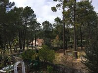 IMG_0164.JPG
