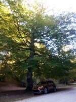 IMG_20171012_193507_100.jpg