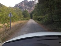 IMG_8487.JPG