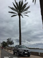 IMG_7397.jpg