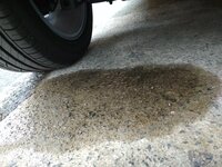 IMG_20171101_165822.jpg