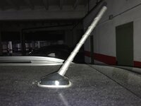 IMG_3359.jpg