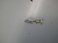 IMG-20130115-WA0002.jpg