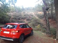 20171114_104210.jpg