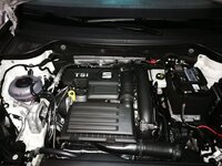 IMG_20171119_134914.jpg