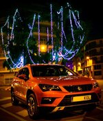 Ateca Pineda-2.jpg